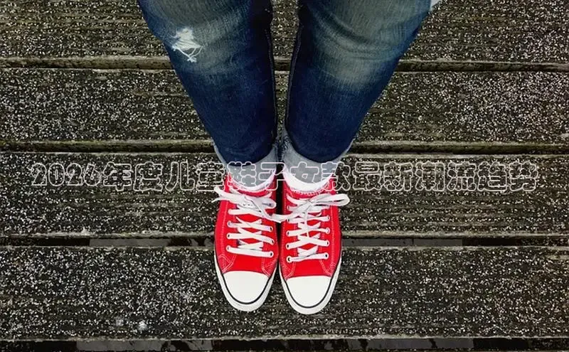 鲸鱼体育直播在线看